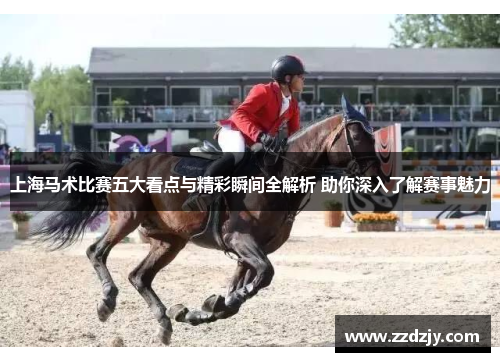 上海马术比赛五大看点与精彩瞬间全解析 助你深入了解赛事魅力