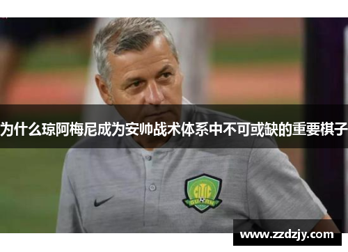 为什么琼阿梅尼成为安帅战术体系中不可或缺的重要棋子