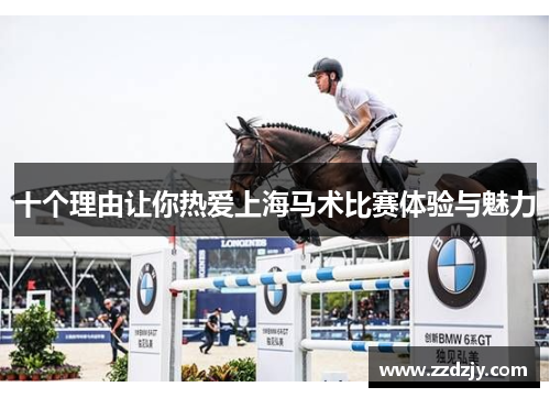 十个理由让你热爱上海马术比赛体验与魅力