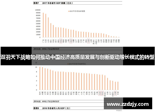 双羽天下战略如何推动中国经济高质量发展与创新驱动增长模式的转型